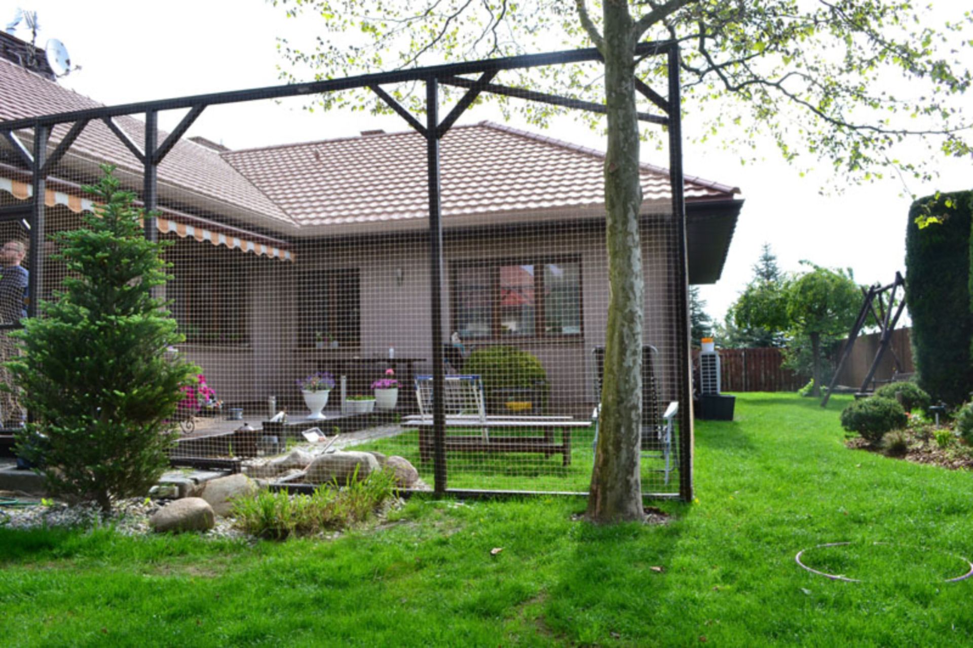 Woliera dla kota – rodzaje oraz ceny